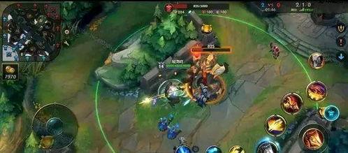 英雄联盟手游最新大爆料,神秘英雄登场，战局再掀风云！